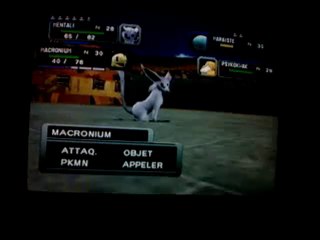 Pokemon Colosseum 5 Pyrite (avec Tofu234)