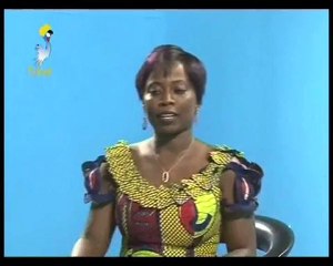 INVITE DU JOURNAL DU 05/11/2010 PAR TCHADONLINE TV