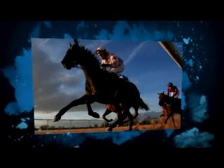 Favourites Phenomenon Horse Race Betting System