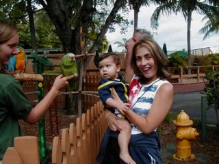 Leslie Sansone 21 Day Walk, Eat, Lose Review