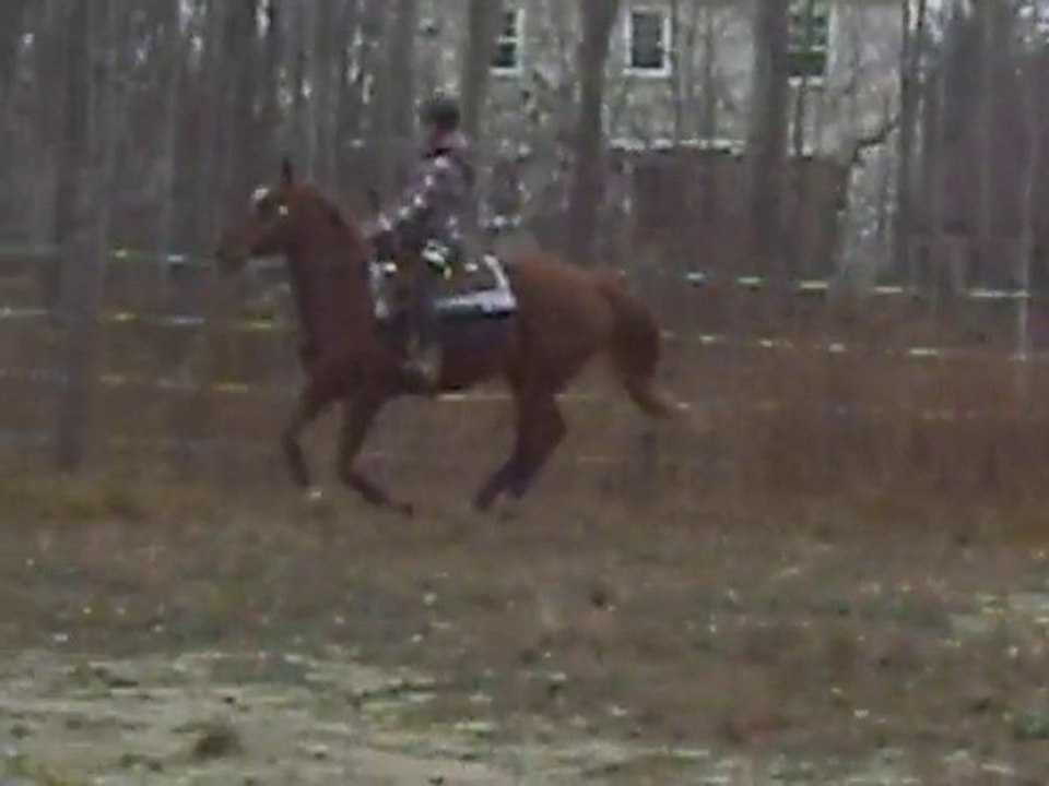 Moi a cheval