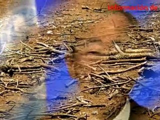 Que inviertan gobiernos contra cambio climático