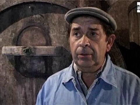 AOC Marcillac : un vin à l'accent du terroir