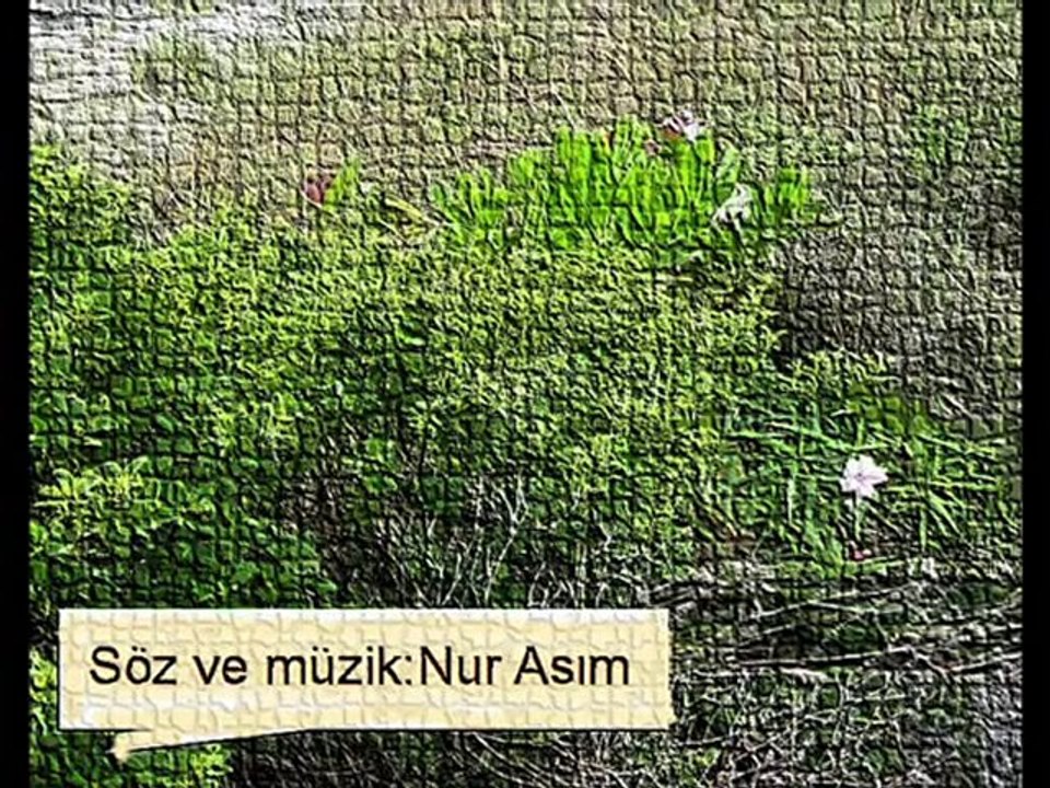 Sevgi Uzerine_