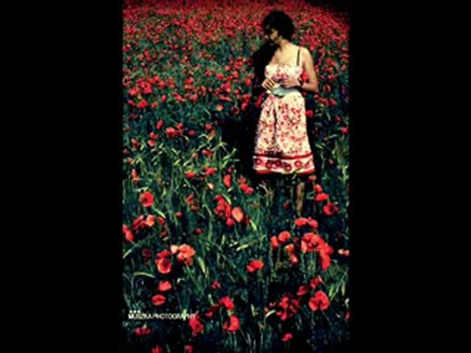 BİR KERE SEVDAYA TUTULMAYA GÖR