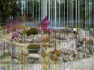 CAMINO DE SANTIAGO - CANTAUTORA - LADY HAGUA.