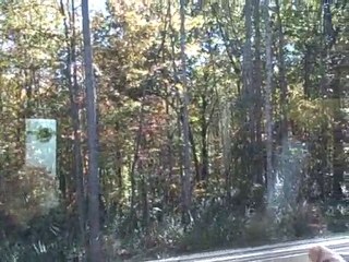 Charlotte Home Inspector Finds Dangerous Window