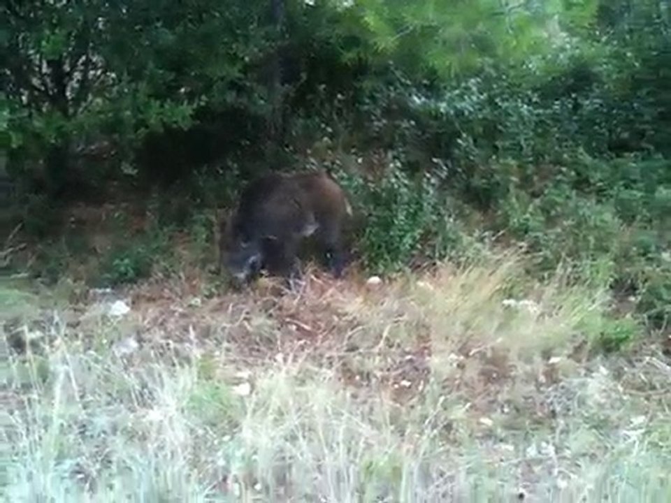 rencontre inattendue