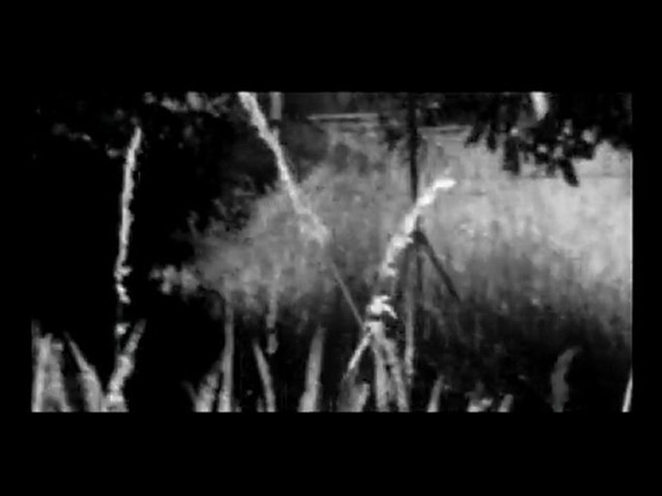 Armas Cuzco - Desert trails
