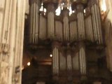 orgues 017