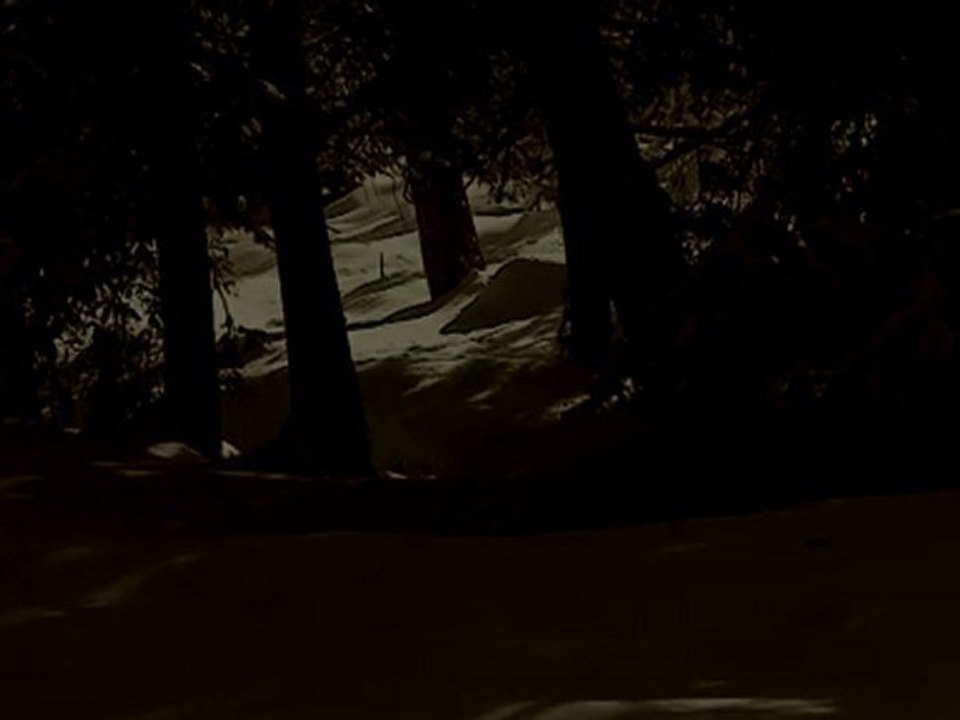 Nebelkorona - Windstille