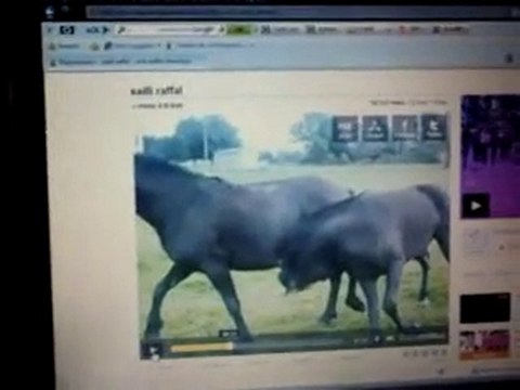 FAYER 88 190 epinal golbey break rue nicolas 10