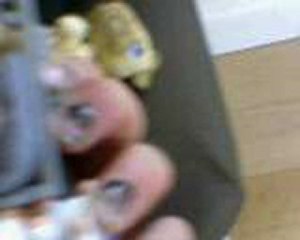 petshop au secoure partie 3 et fin de l'histoire