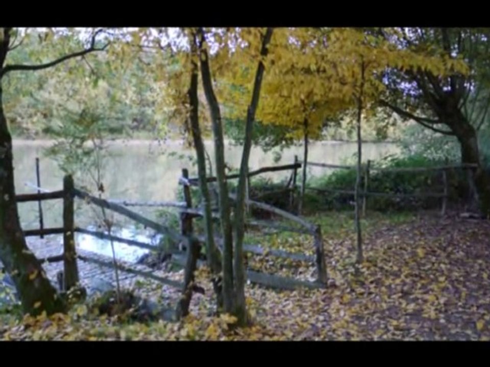 Automne à Grasla 2010