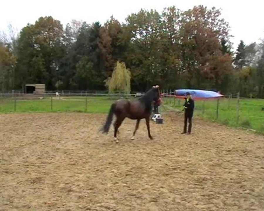 cmg angels bolero from fear to trust ! VOA TRAINING