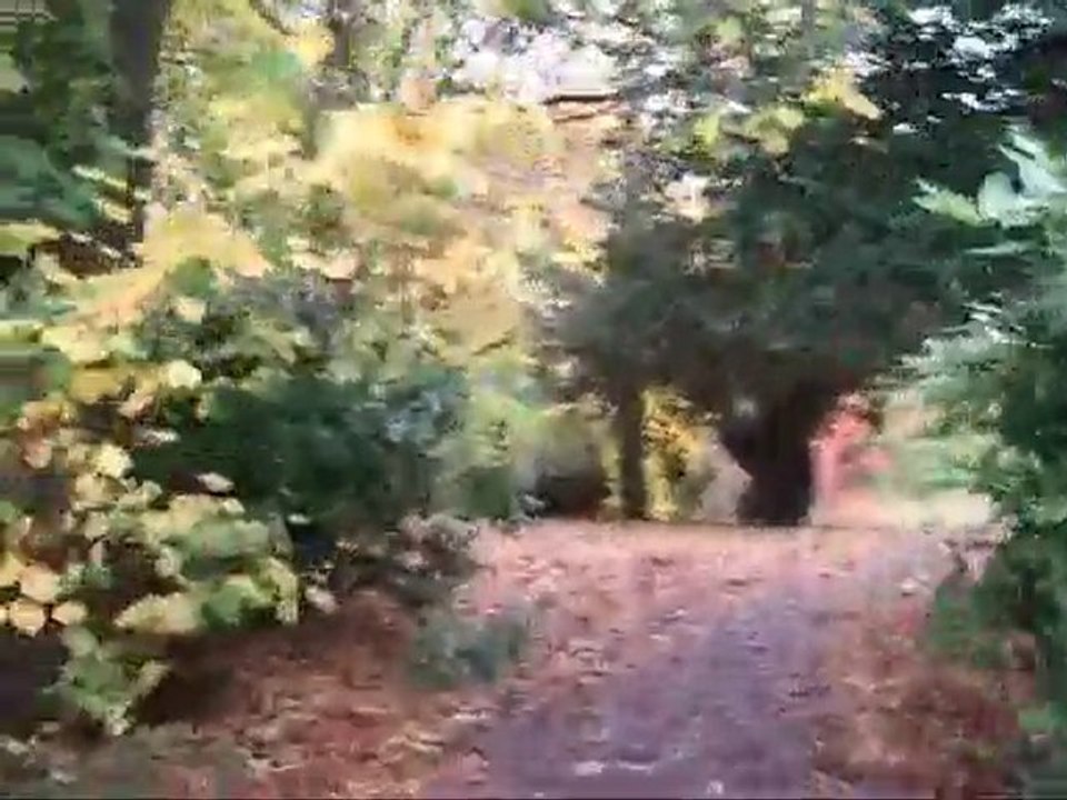 parc charle bertin en novembre 2010