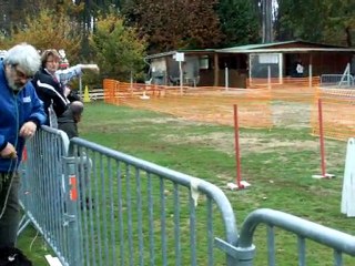 flyball  Cooper  jag au Mans  6 nov 2010 individuel