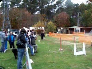 dove  mans 6 novembre 2010