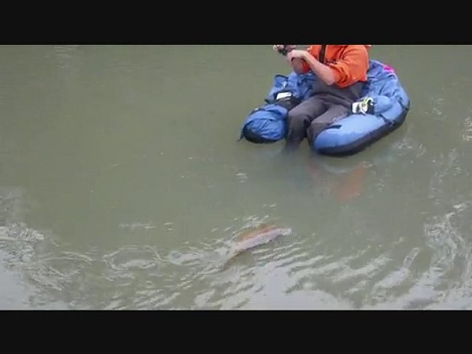 carpe en float tube