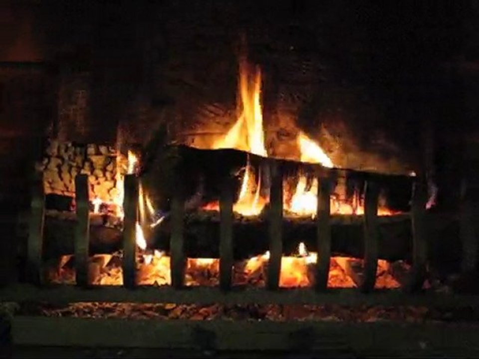 Feu de bois