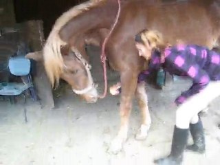 Début révérance de Kaizer