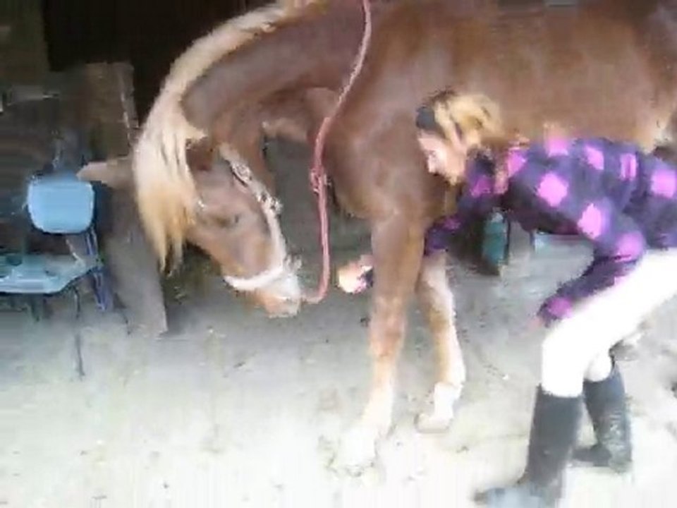 Début révérance de Kaizer