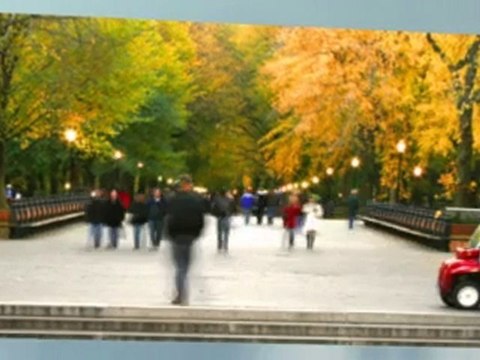 Santa Monica Auto Accident Chiropractor