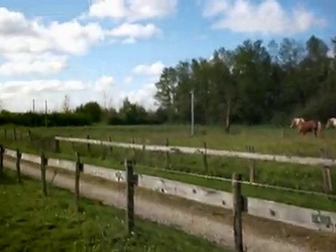 Arrivée Oslo chez Angel - 25 octobre 2010