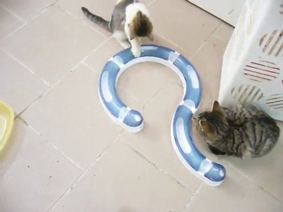 Circuit de jeu Catit Design Senses