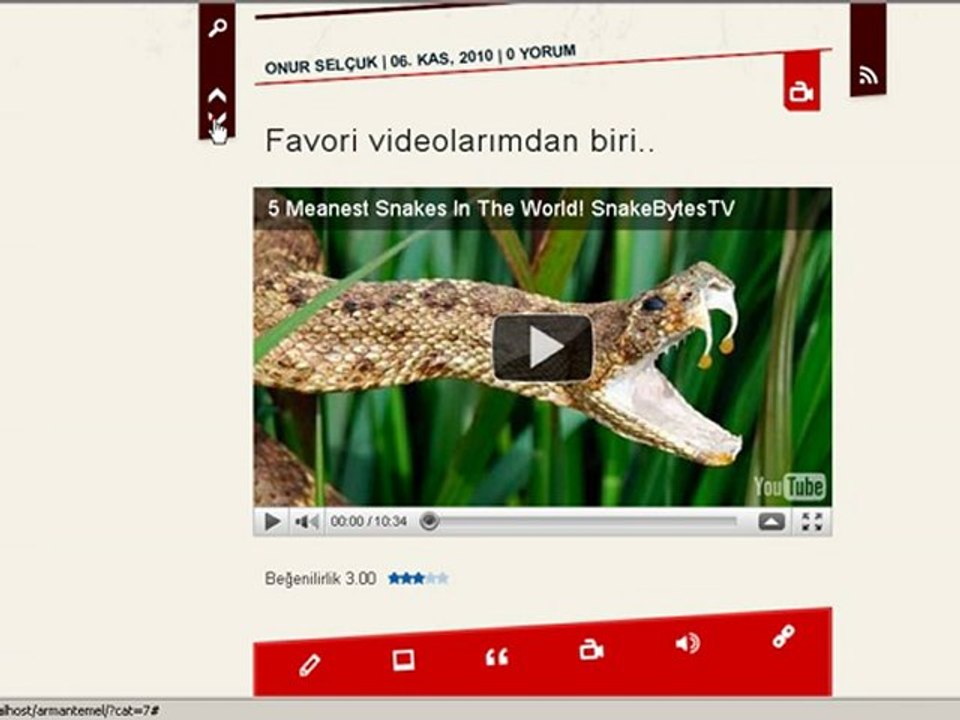 Kişisel website