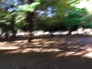 yoyogi koen.....coté parc cette fois