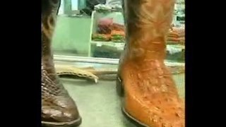 Alligator Boots - Discover the Hornback Style
