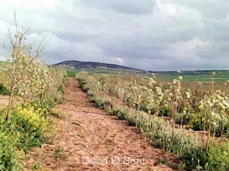 Wilaya de BOUIRA : 45 Communes