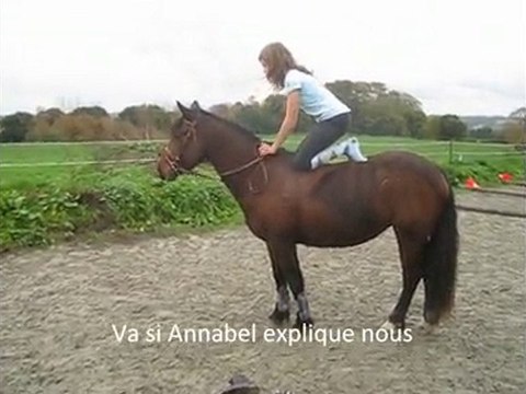 Ethologie avec Bella