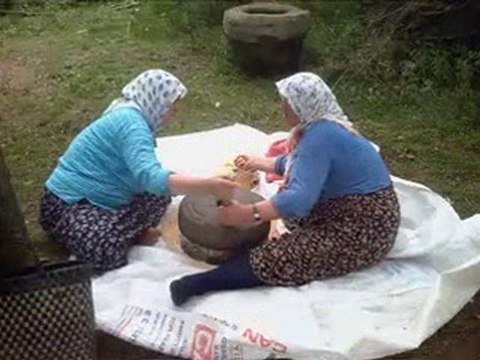 Damla Yıldırım - Yayla Çiçeği