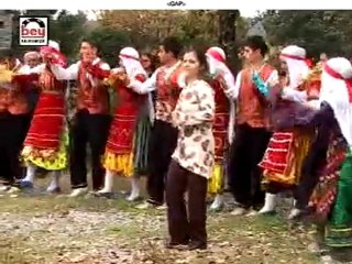 Damla Yildirim- Güloglan