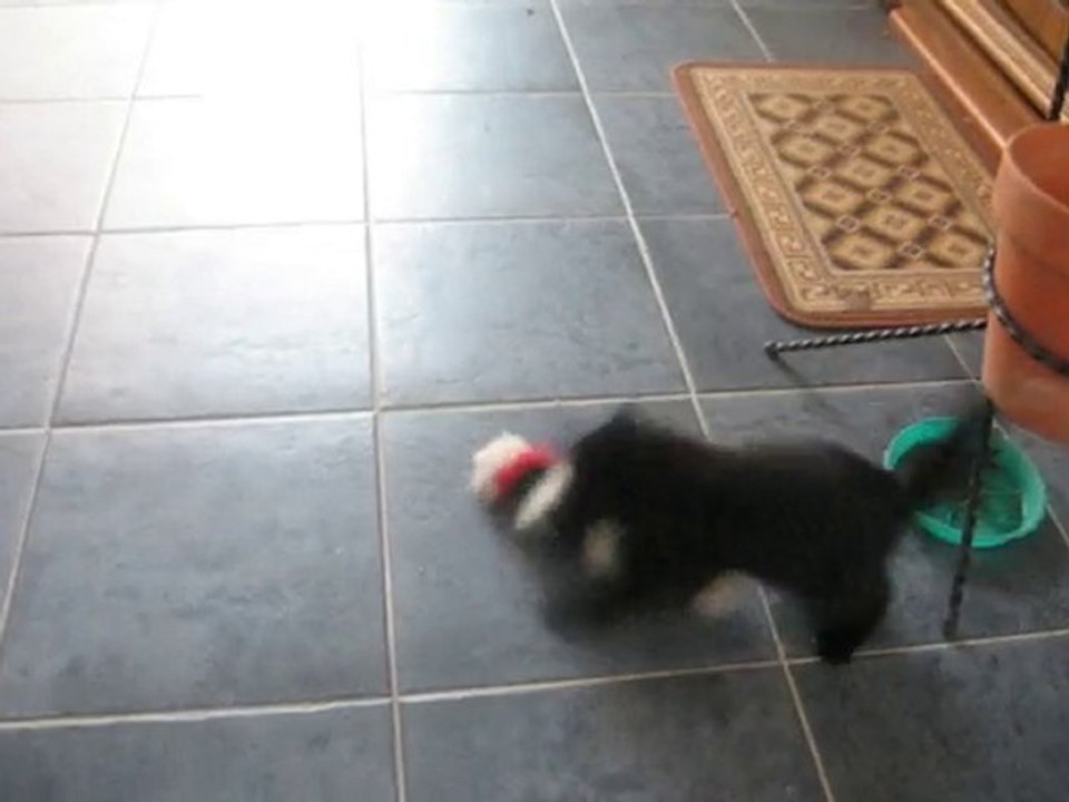 Jeux n° 2