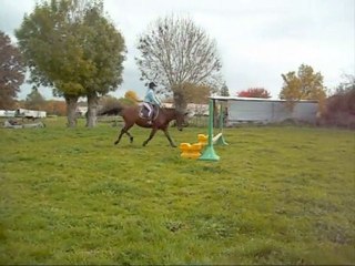 Preparation des futurs concours avec Paola :)