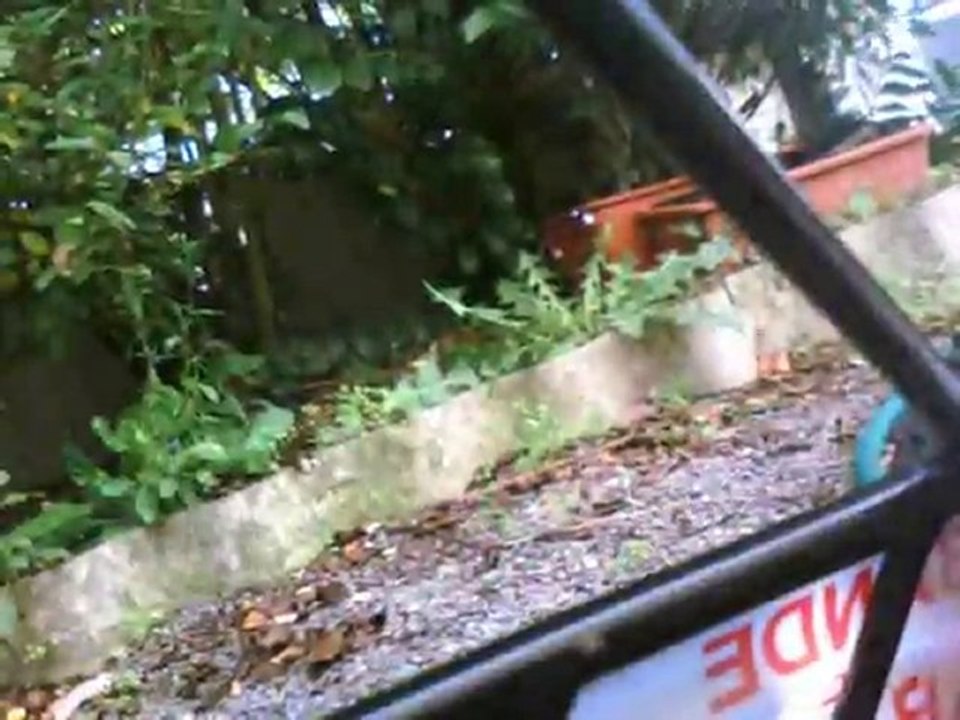 baja in board with mouvement of camera in 2.4ghz