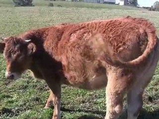 Un bol d'air dans ce monde de brutes
