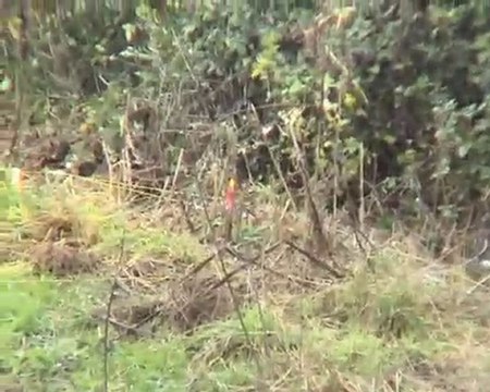 terrain lassy 20101107