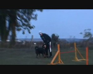 Johann & Dana Entraînement Agility  25 Octobre