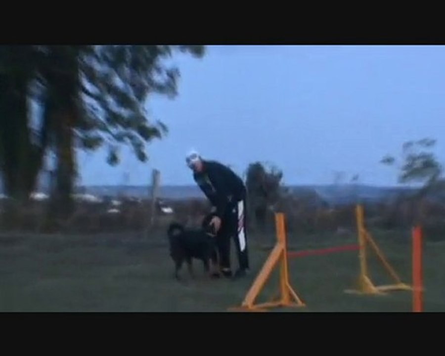 Johann & Dana Entraînement Agility  25 Octobre