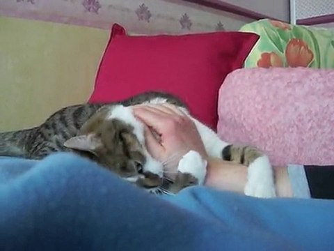 Les fantastiques aventures de Kawaïcat 3