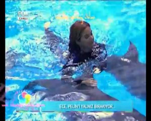 ece erken rengarenk ozel by s.s.