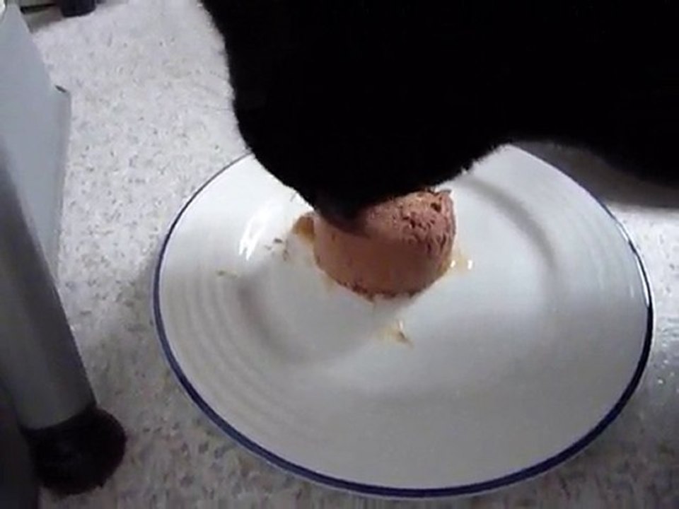 Miam Miam