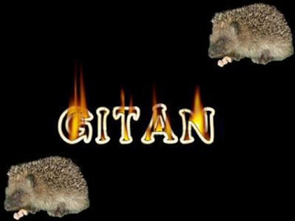 francky le gitan
