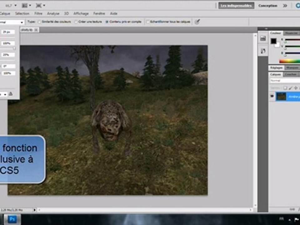 Correcteur localisé de CS5