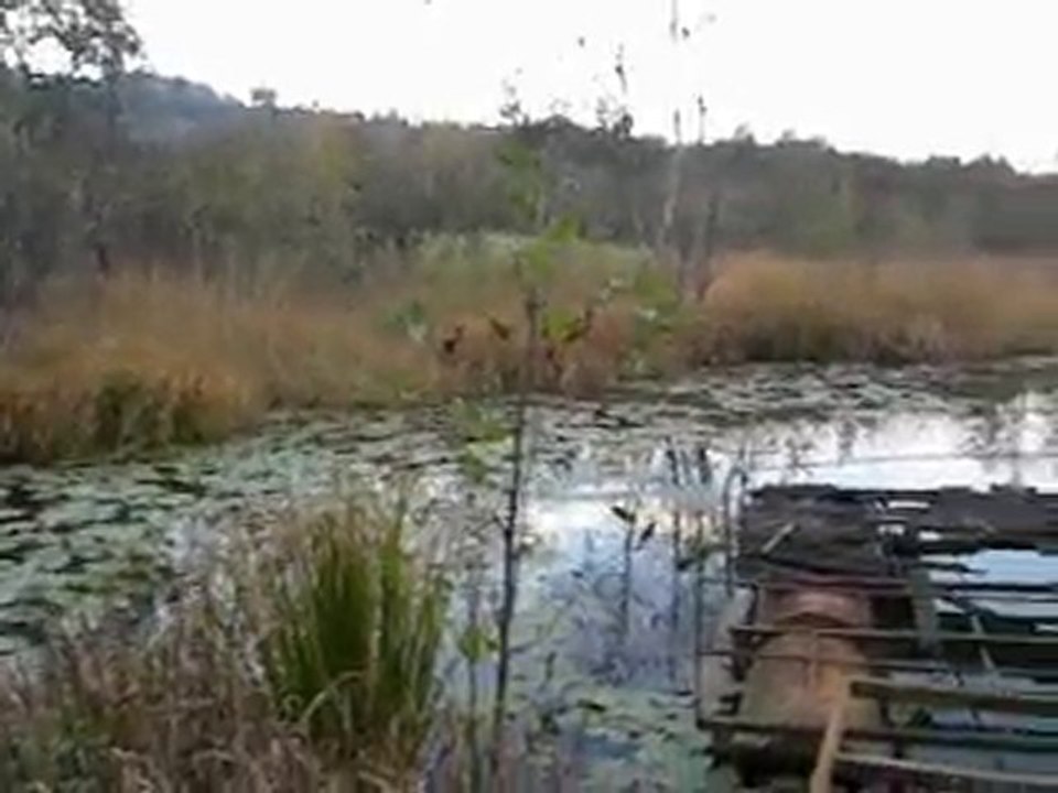 Ördek Gölü kuşluhan bulancak