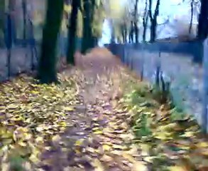 7 novembre 2010 - Parco di Monza